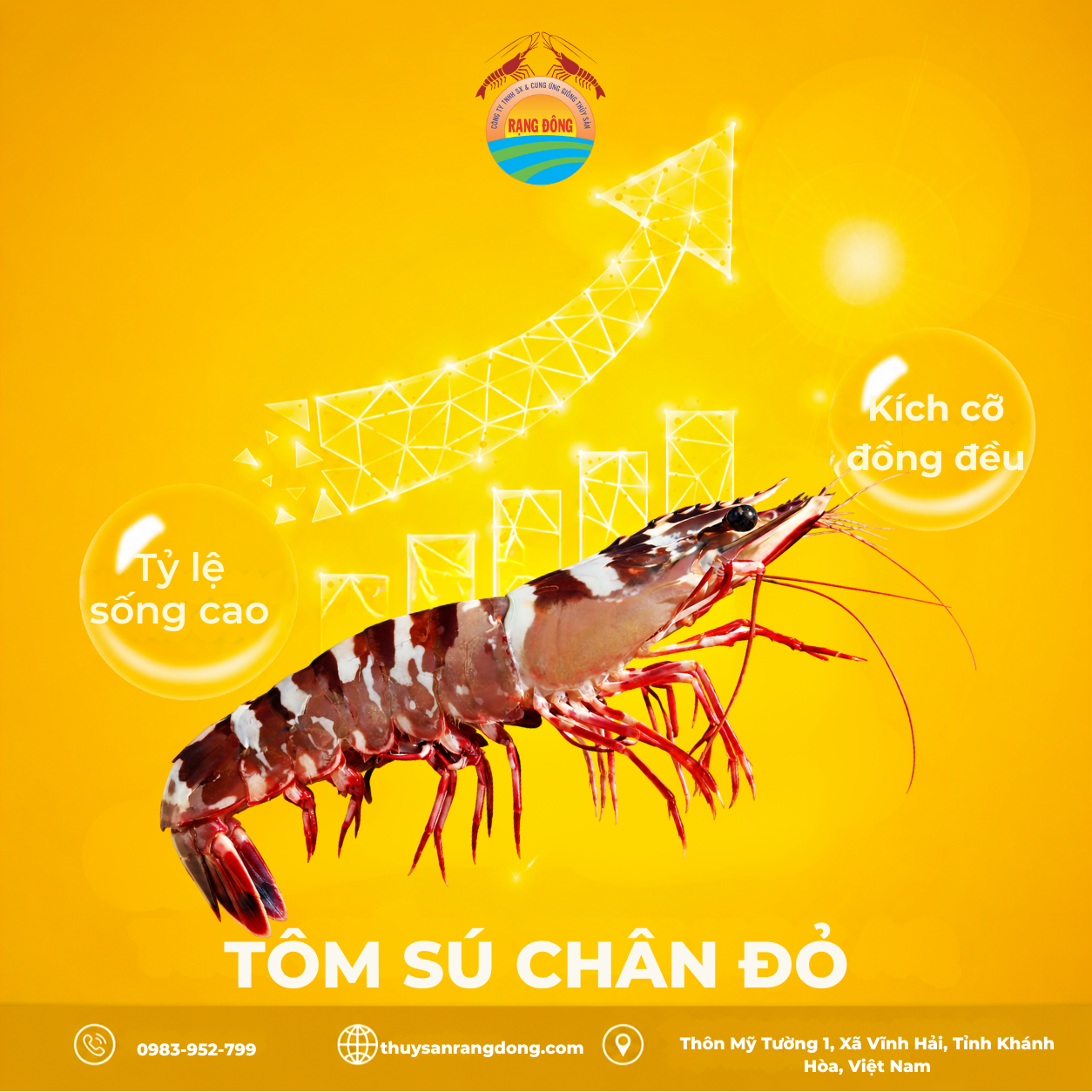 Tôm Sú Chân Đỏ