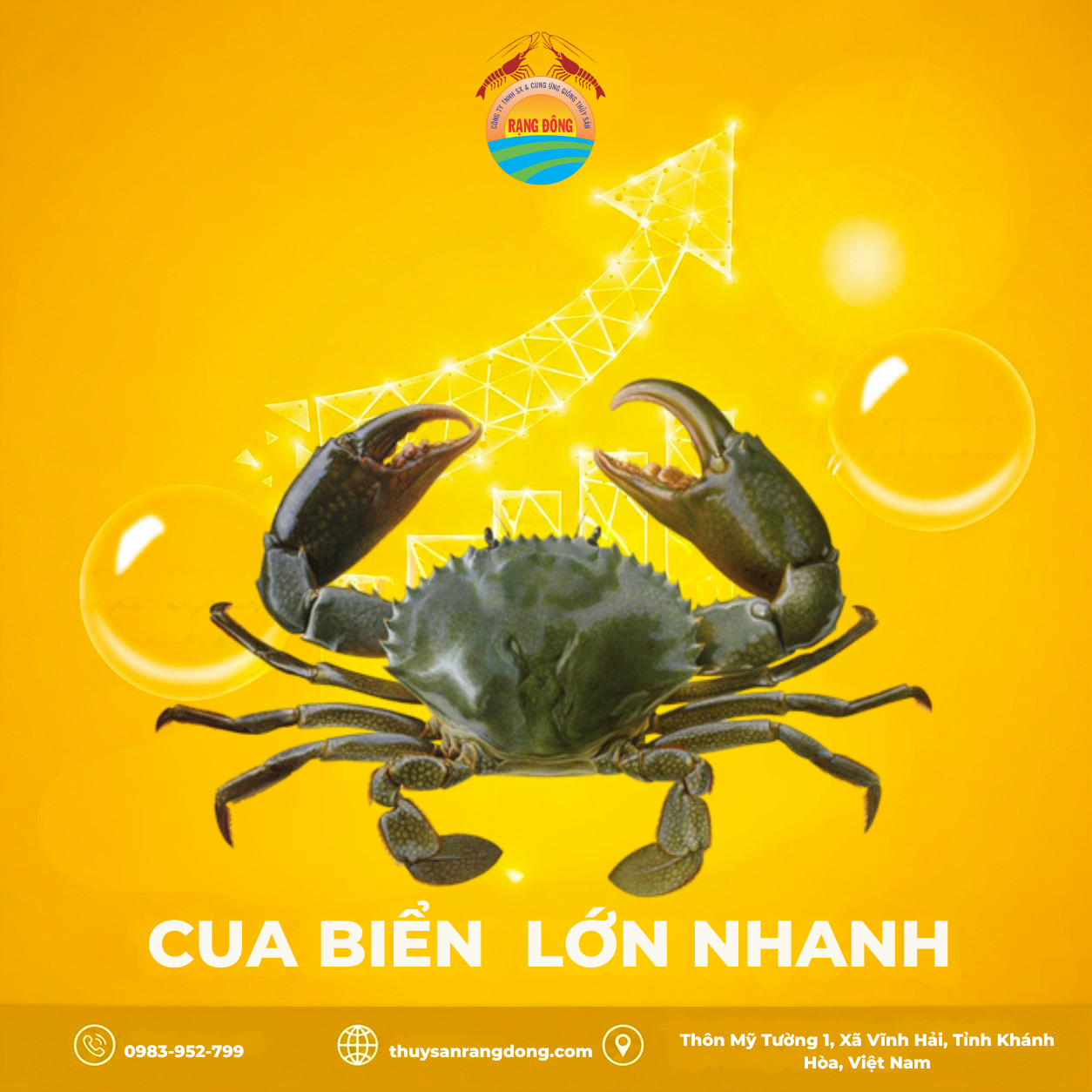 Cua Giống Rạng Đông