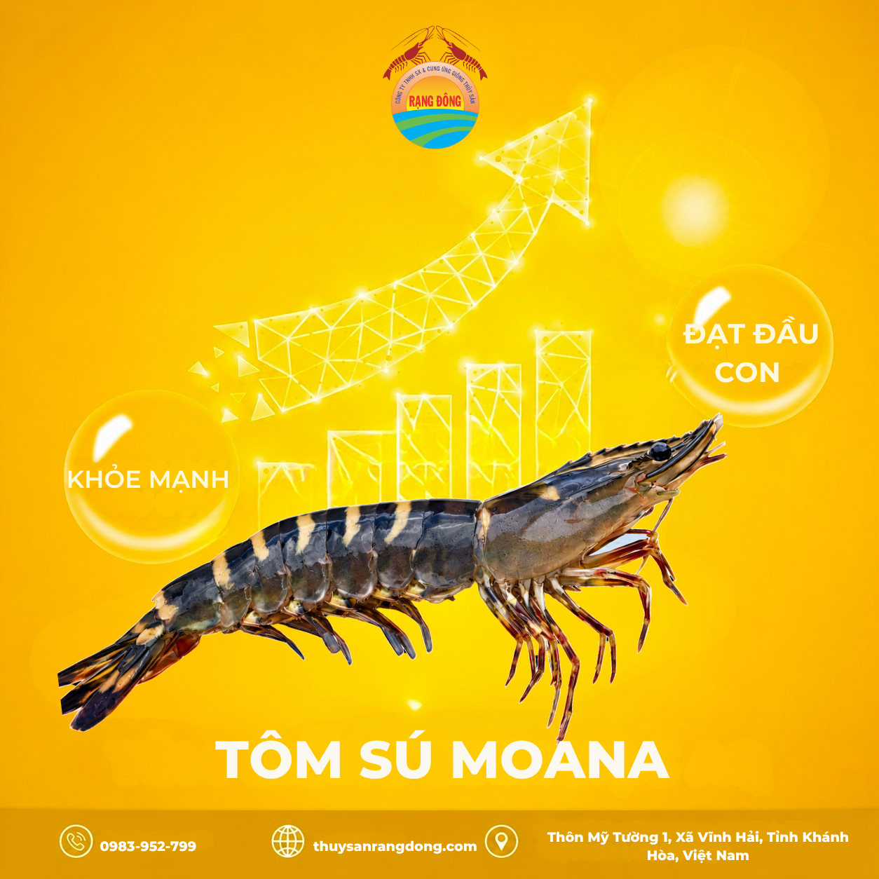 Tôm Sú Moana