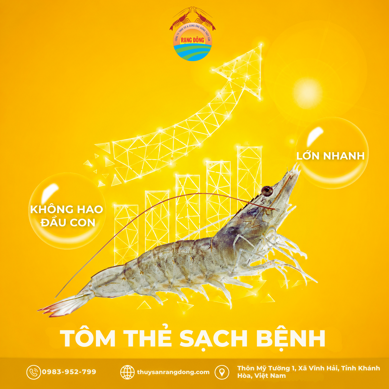 Tôm Thẻ Lớn Nhanh